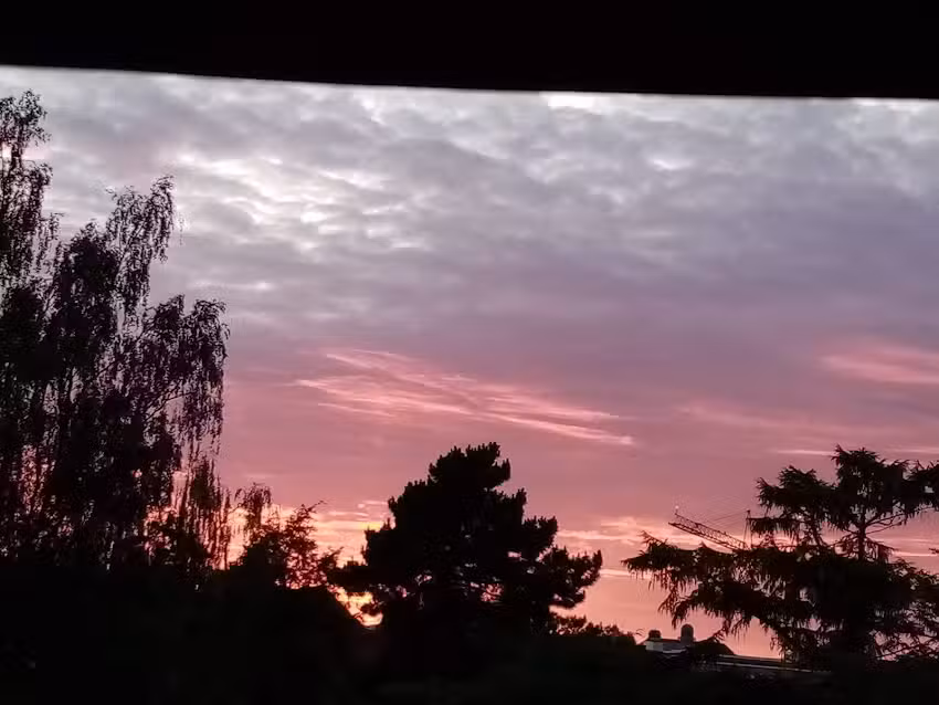 Ferienwohnung Dachkoje