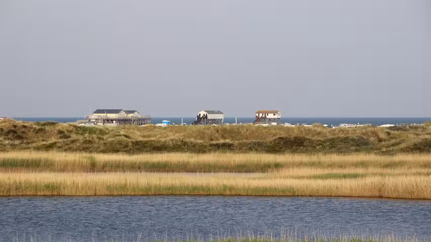 Ferienwohnung Deichblick***