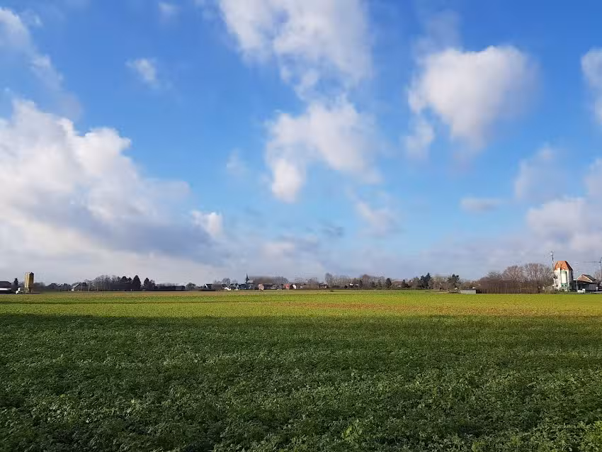 Ferienwohnung Deichdorf