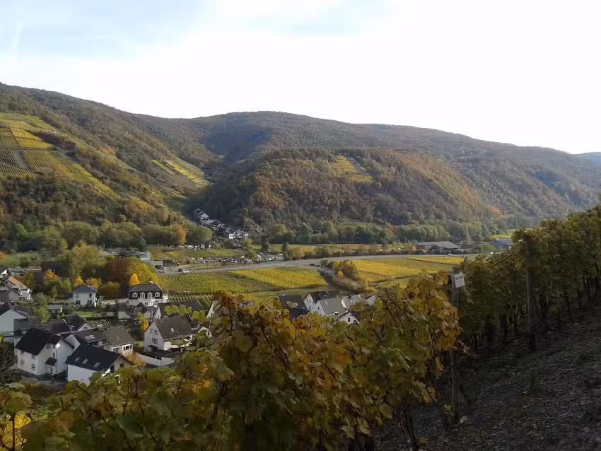 Ferienwohnung/Dernau