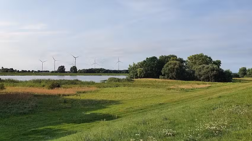 Ferienwohnung Drage Elbe