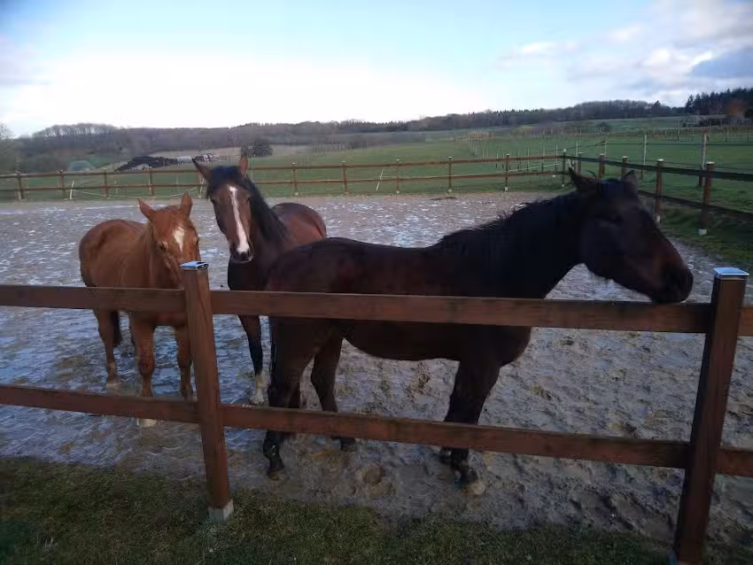 Ferienwohnung &ndash; Eifeltor