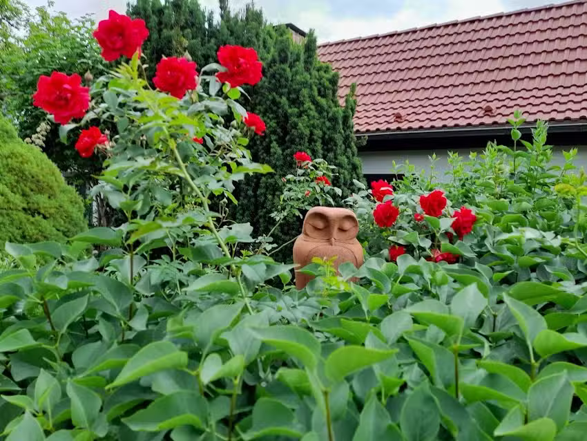 Ferienwohnung Elke Wismann