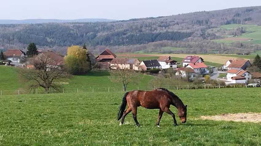 Ferienwohnung Elm