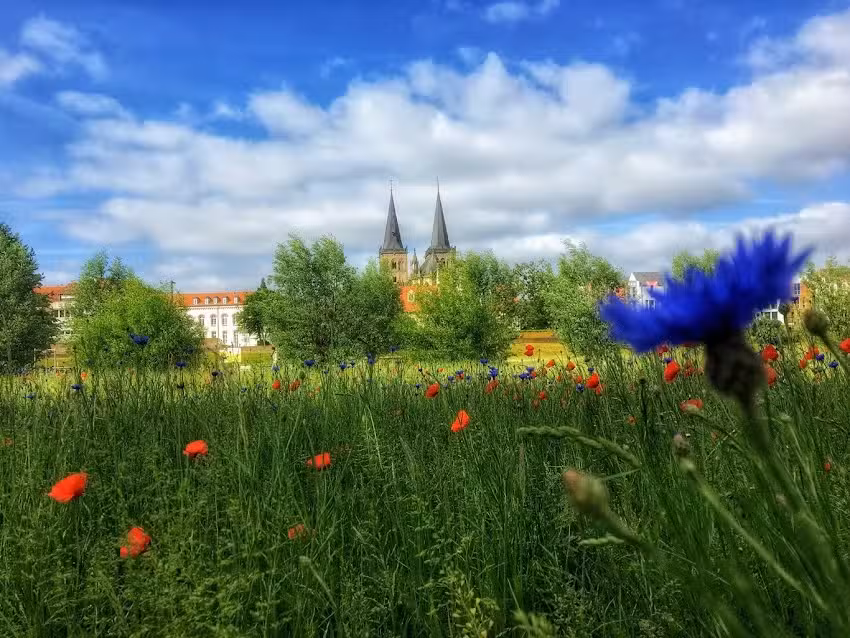 Ferienwohnung Eulennest Xanten