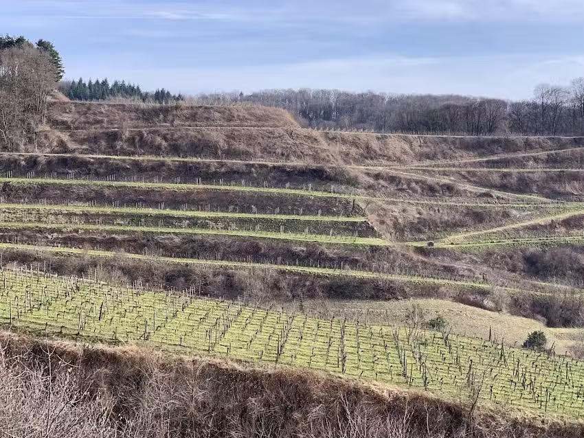 Ferienwohnung Friderich