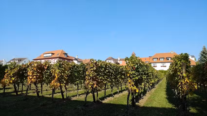 Ferienwohnung Ganser
