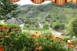 Ferienwohnung / Gästezimmer -Haus Moselblick-