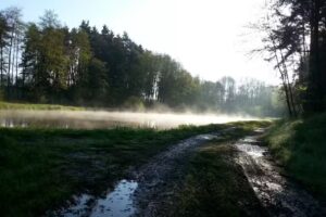 Ferienwohnung & G&auml;stezimmer Rixner