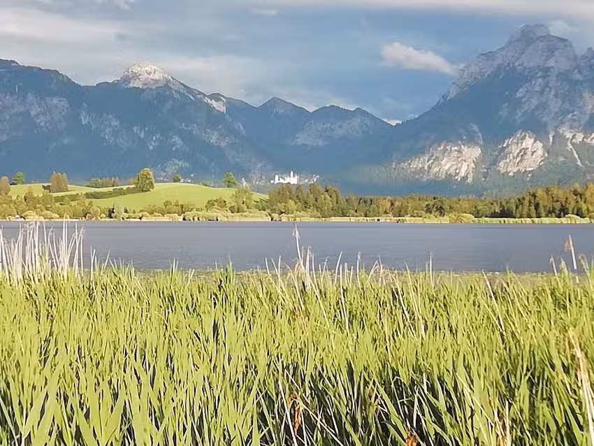 Ferienwohnung Guggemos