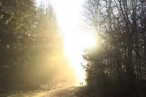 Ferienwohnung Haus Achenbach – Oliver Achenbach