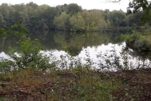 Ferienwohnung Heideaway &ndash; Familie Silcher