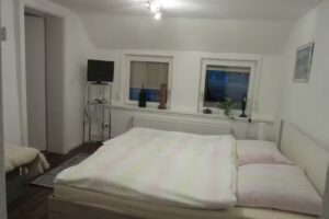 Ferienwohnung &bdquo;Heins Hus&ldquo;