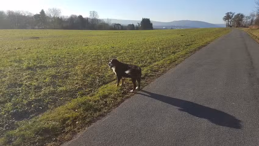 Ferienwohnung Hilker