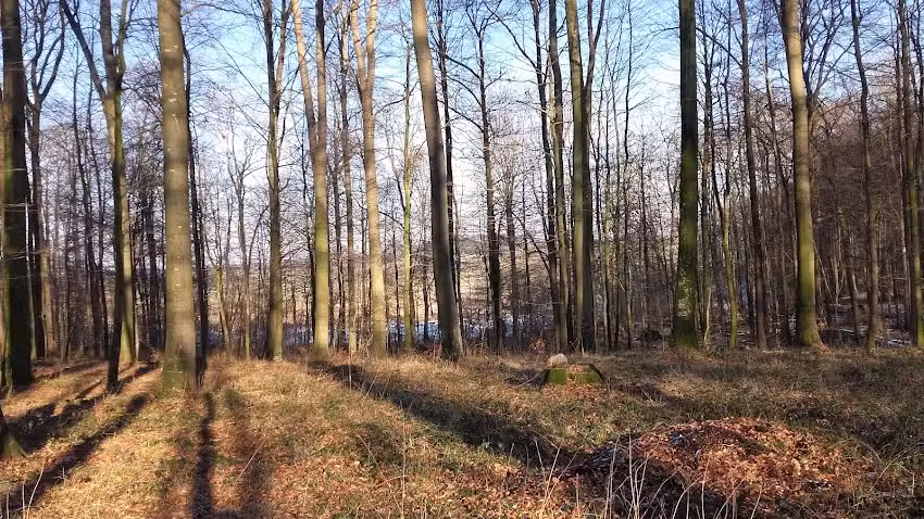 Ferienwohnung Hoffmann &ndash; Birte Hoffmann