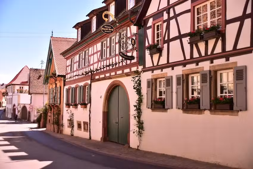 Ferienwohnung im Bio-Weingut