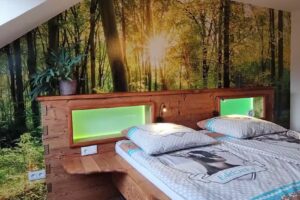 Ferienwohnung im Rodeck Nest