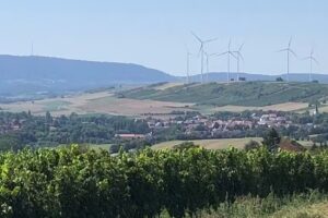 Ferienwohnung im Zellertal, Knobloch