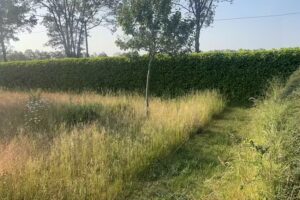 Ferienwohnung in Spelle &ndash; Familie Kurmann