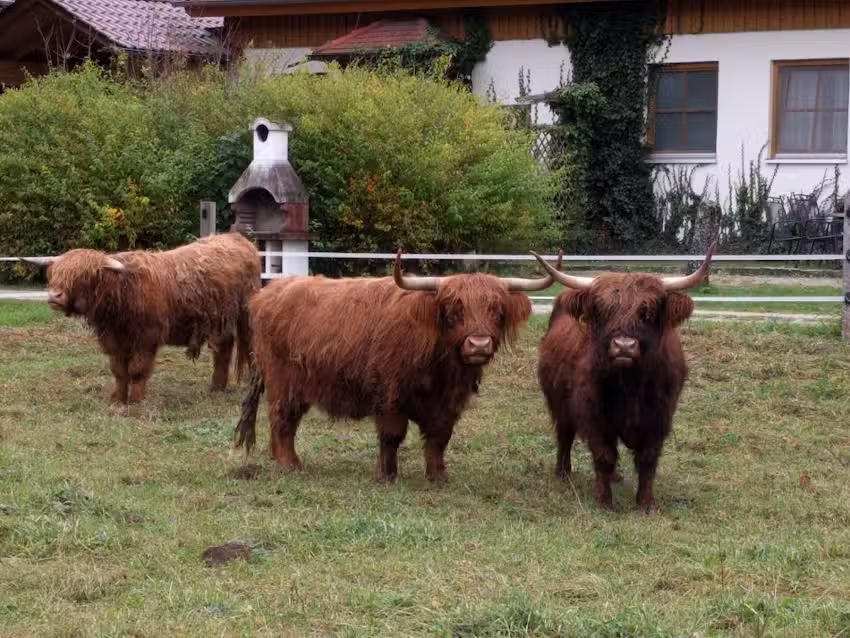 Ferienwohnung Karch