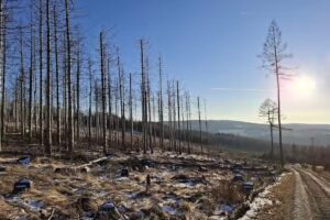 Ferienwohnung Kerstin & Andreas Mudersbach