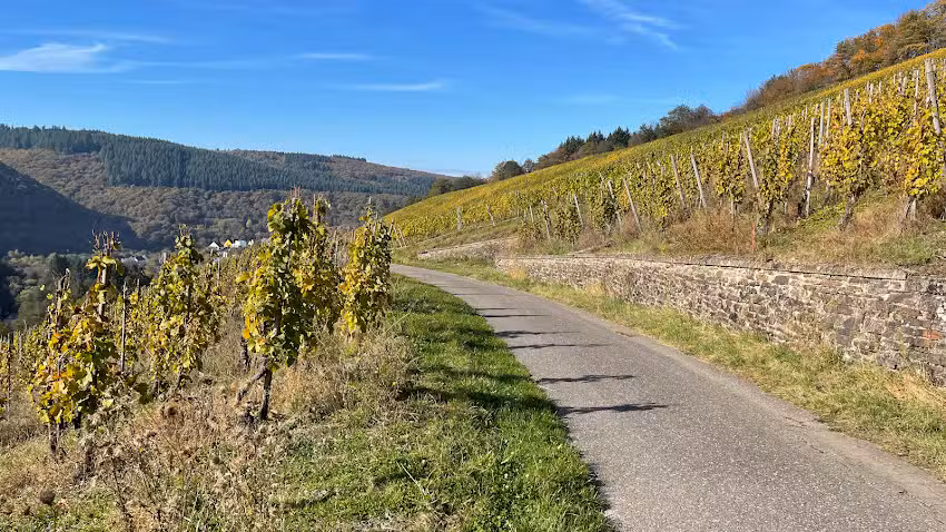Ferienwohnung Kleinert