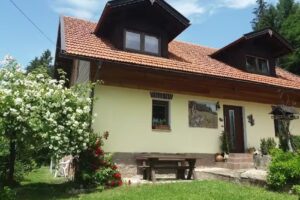 Ferienwohnung Knoll