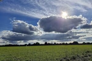 Ferienwohnung Landliebe Ehrsen 1
