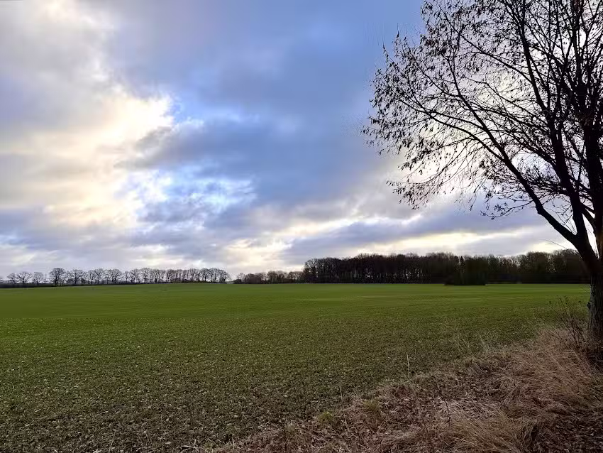 Ferienwohnung Landruhe