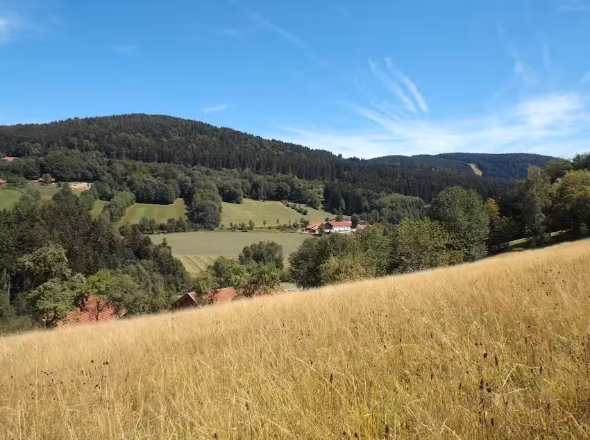 Ferienwohnung Lindenhof