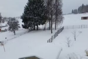 Ferienwohnung L&ouml;wenzahn