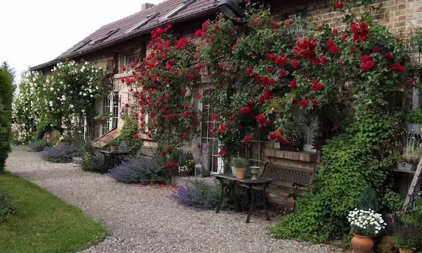 Ferienwohnung L&uuml;neberg