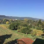 Ferienwohnung Maintalblick