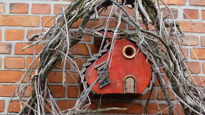 Ferienwohnung Mank de H&ouml;hner