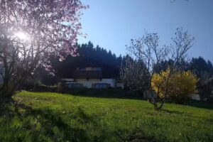 Ferienwohnung Maxlalm