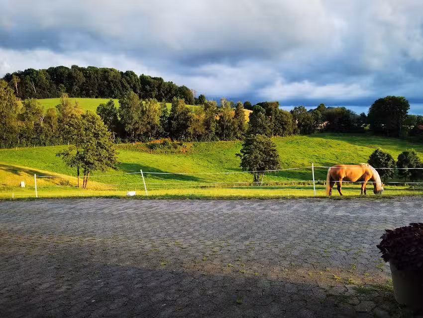 Ferienwohnung Michael Mehler