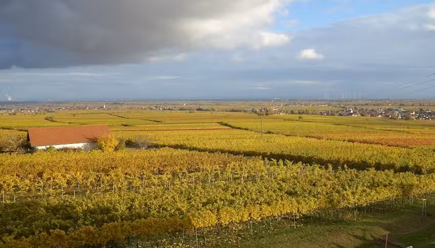Ferienwohnung mit Weitblick