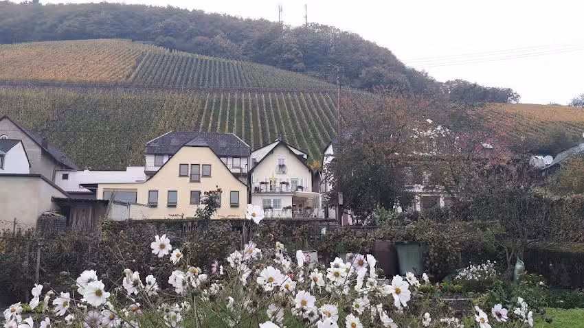 Ferienwohnung Moselblick