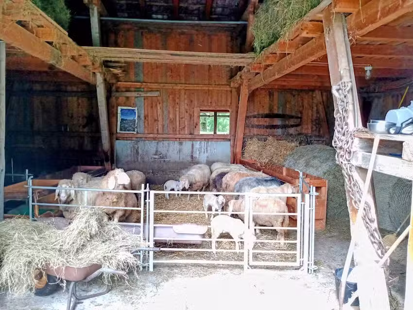 Ferienwohnung Moser