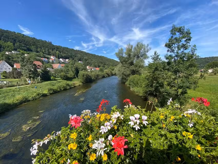 Ferienwohnung Neckarblick