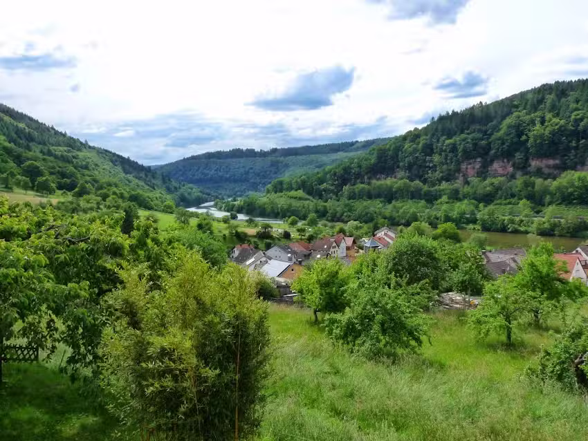 Ferienwohnung Neckarblick