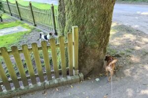 Ferienwohnung Oer-Erkenschwick