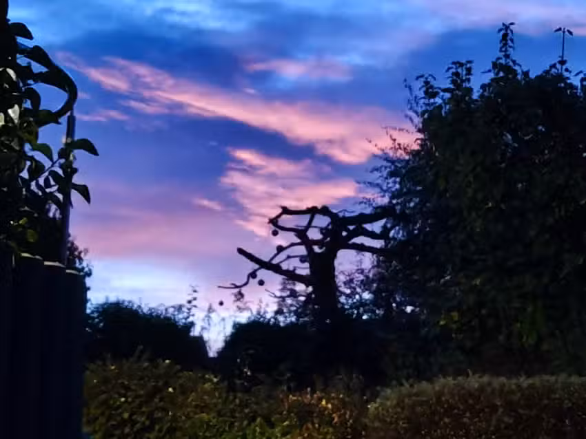 Ferienwohnung Paradies