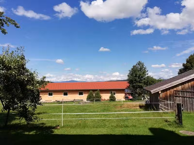 Ferienwohnung Paternoster