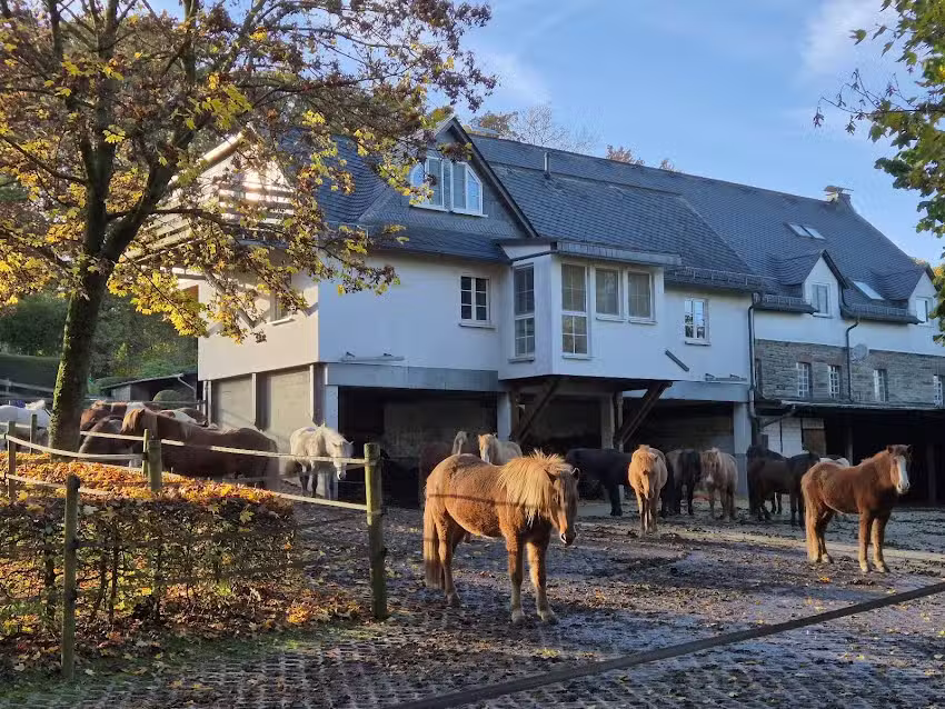 Ferienwohnung Pawlak
