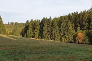 Ferienwohnung Perels