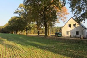 Ferienwohnung Piasecki