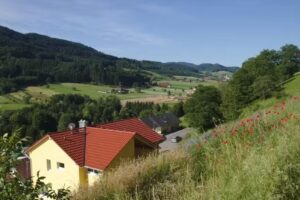 Ferienwohnung Rebenrain