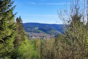 Ferienwohnung &bdquo; Ringbergblick&ldquo;