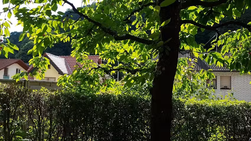 Ferienwohnung Rudolphi